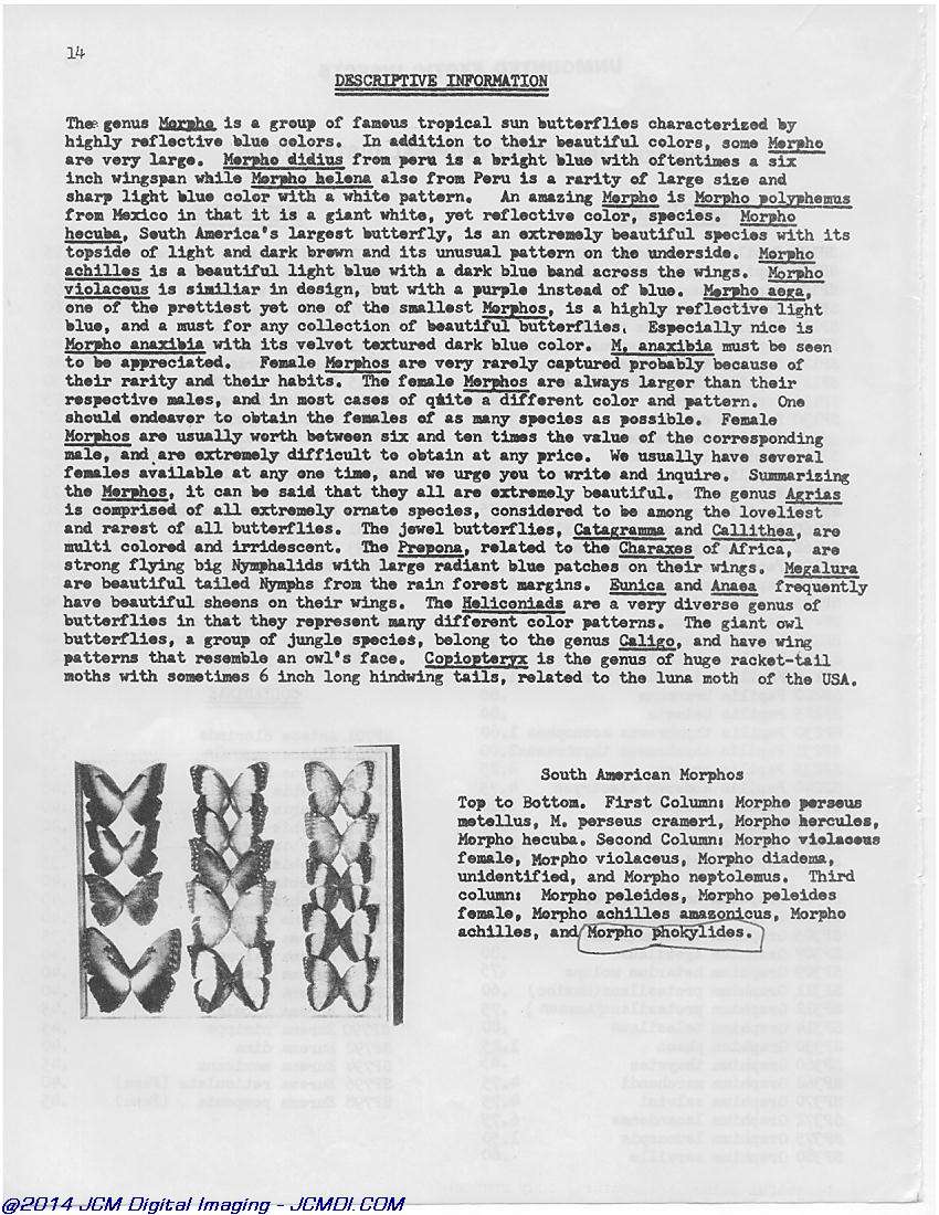 Complete Scientific 1978 Catalog page scan